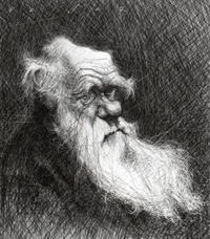 Charles Darwin by jasonseiler