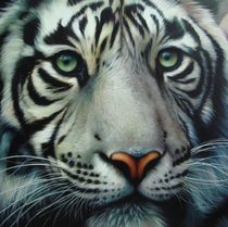 White Tiger - Oil on Canvas by Raipun