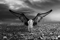 Angel of Dead by Enzzok