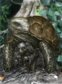 The tortoise and the goblin by fernandomolinariArt