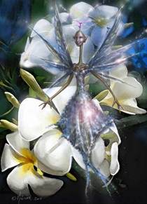 Fairy of the flowers by fernandomolinariArt